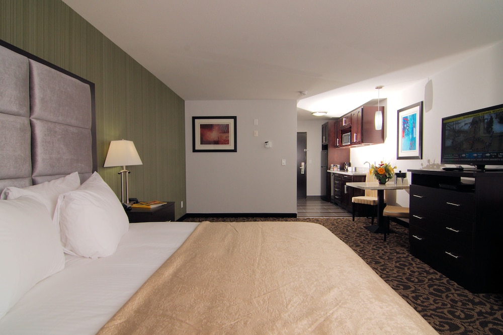 paradise inn and suites redwater