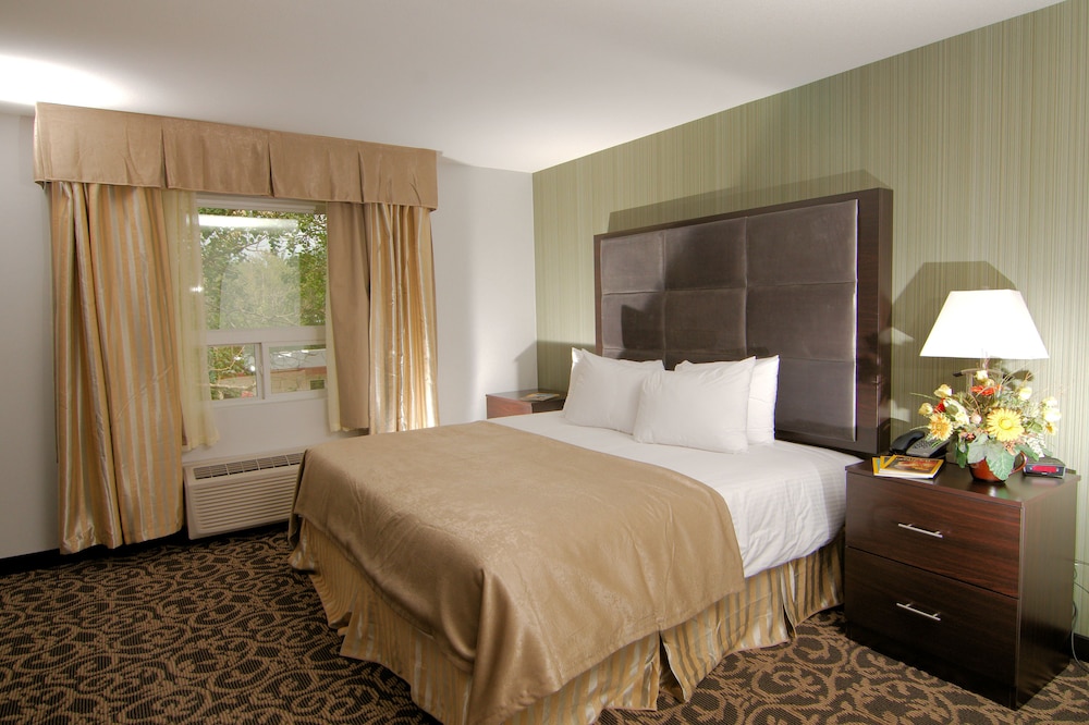 paradise inn and suites redwater