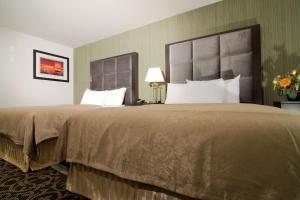paradise inn and suites redwater