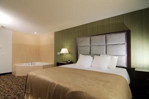 paradise inn and suites redwater