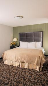 paradise inn and suites redwater