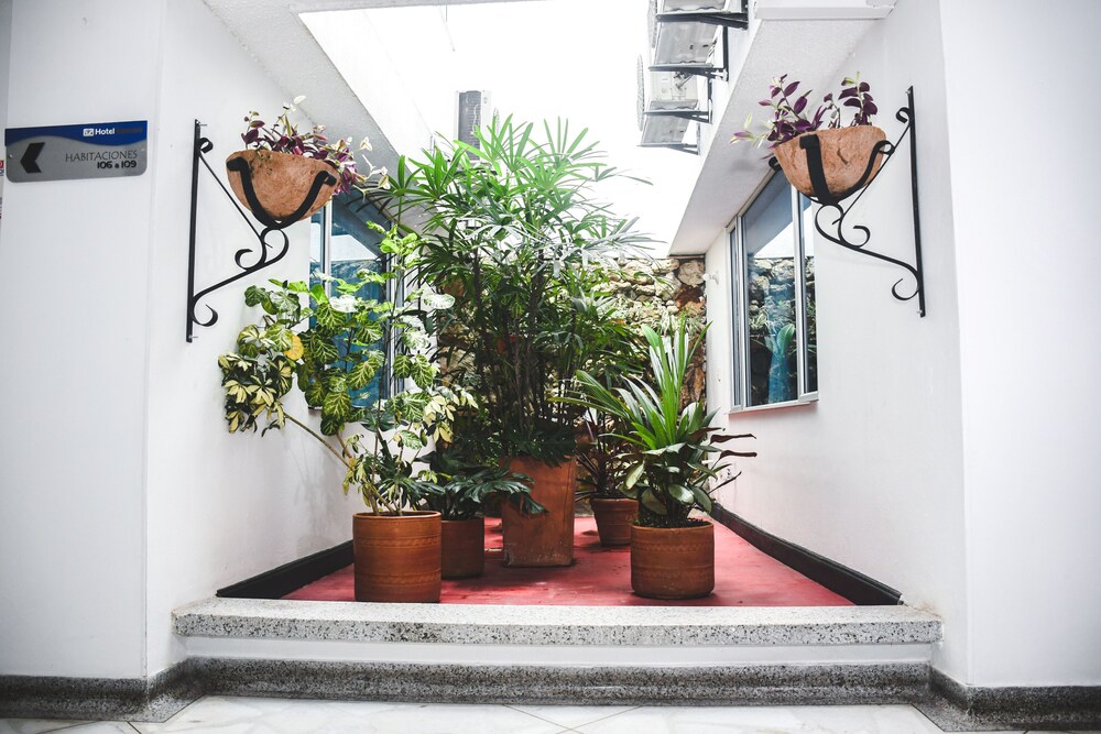 hotel kamani florencia