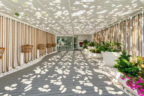 king jason protaras designed for adults by louis hotels