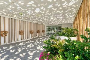 king jason protaras designed for adults by louis hotels