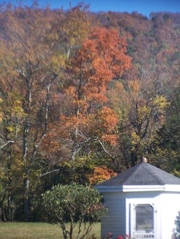 valley head