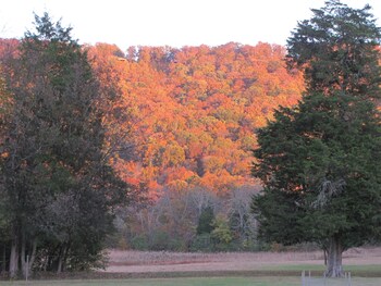 valley head