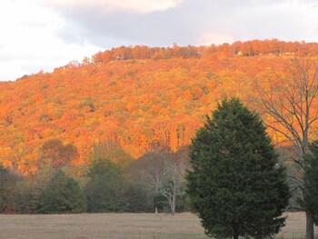 valley head
