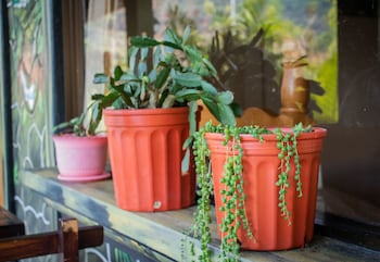 cabinas las manzanas bed y breakfast