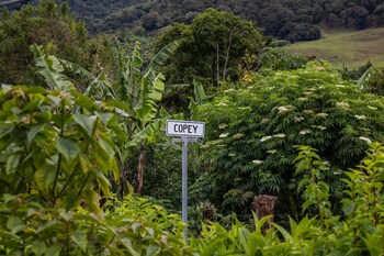 cabinas las manzanas bed y breakfast