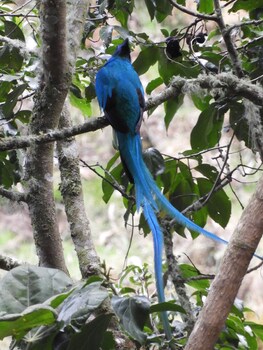cabinas las manzanas bed y breakfast
