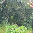 cabinas las manzanas bed y breakfast