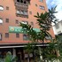 hotel kailash kutee