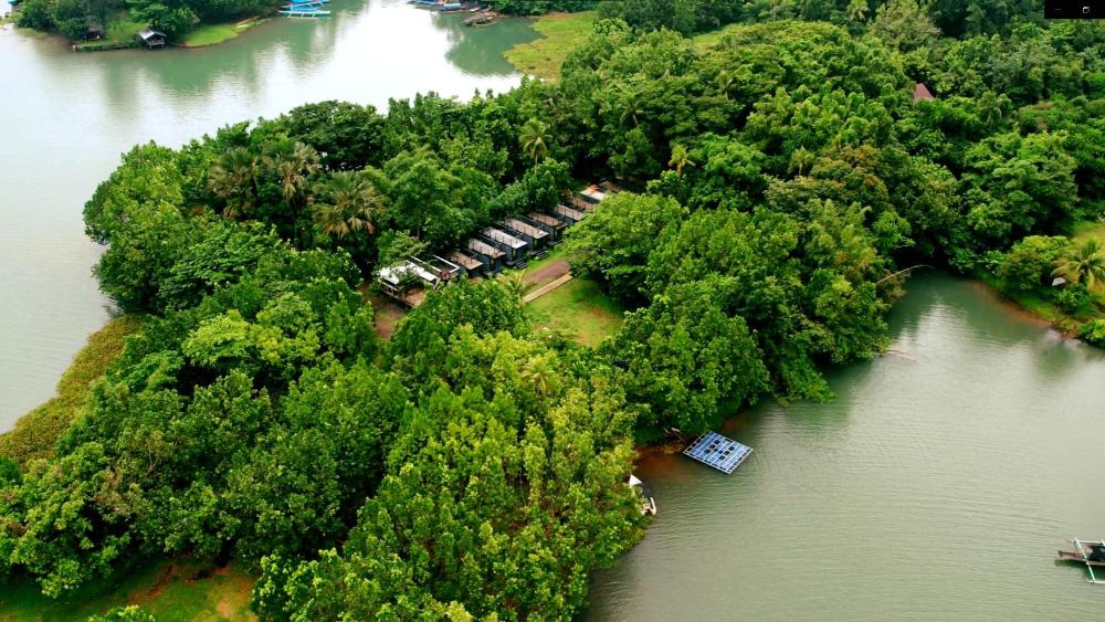 kaliraya surf kamp by eco hotel laguna