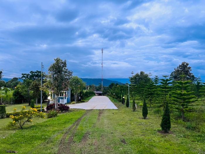 pruksa view homestay