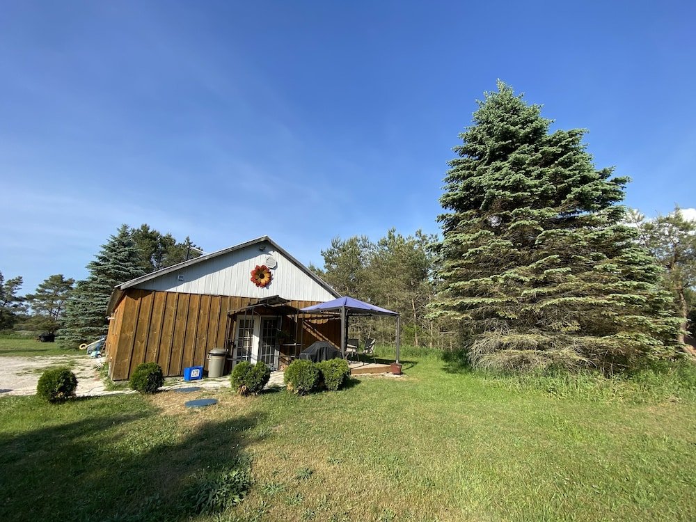 dreamers writing farm