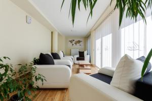 hostel mayer superior veszpra m