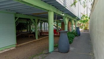 caribbean vibes house