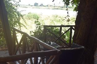 Selous Kinga Lodge,Logeloge>>Kwangwazi,5 star