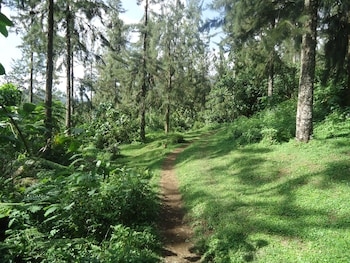 mvuli hotel