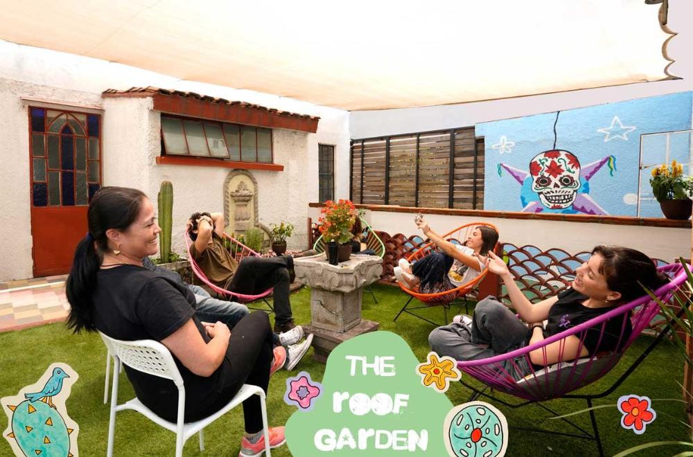 fungi hostal condesa hostel