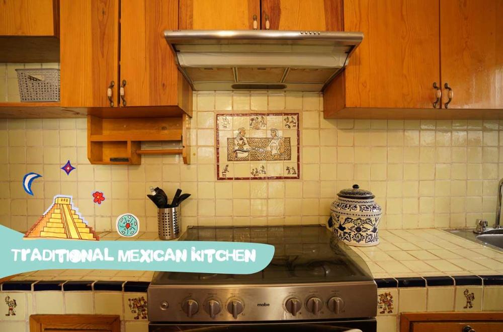 fungi hostal condesa hostel