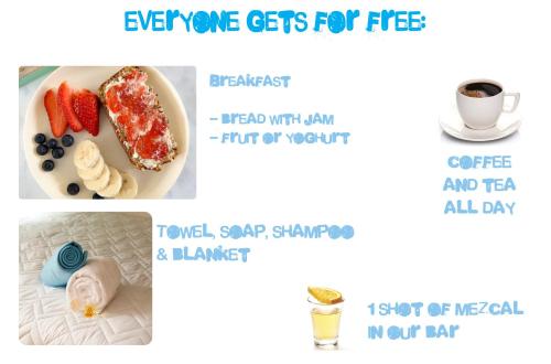 fungi hostal condesa hostel