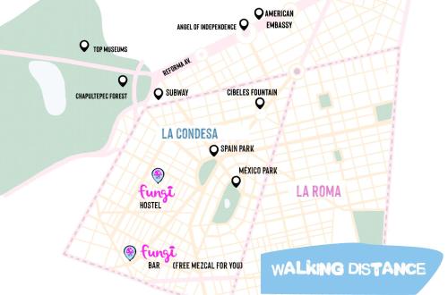 fungi hostal condesa hostel