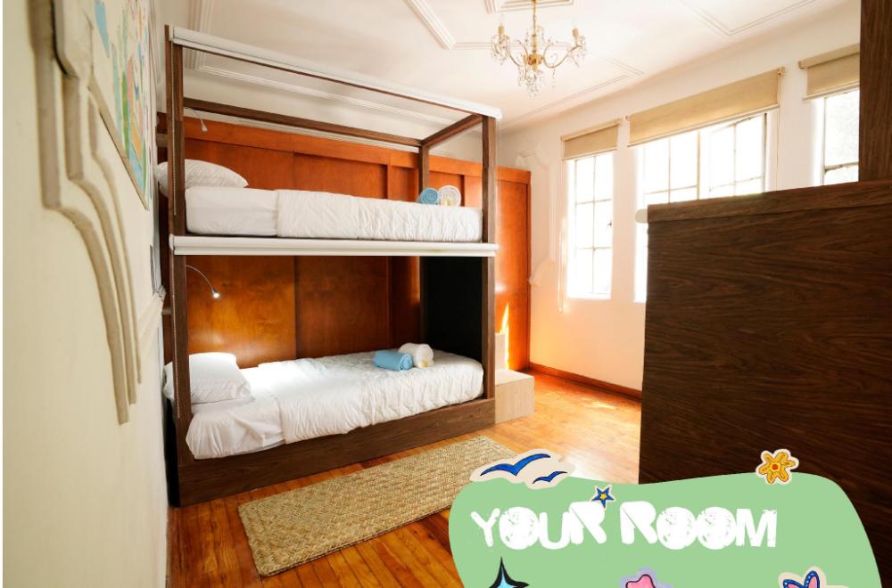 fungi hostal condesa hostel