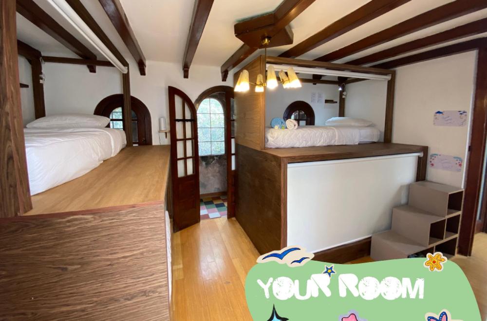 fungi hostal condesa hostel