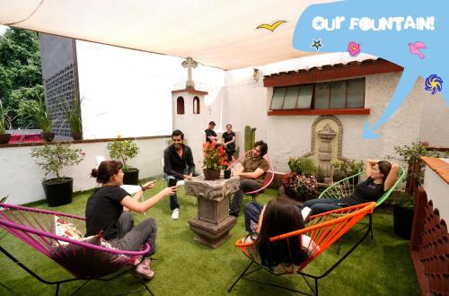 fungi hostal condesa hostel