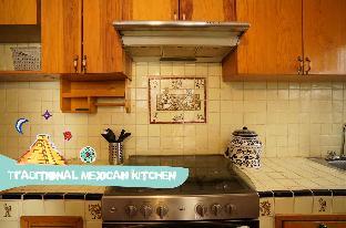 fungi hostal condesa hostel