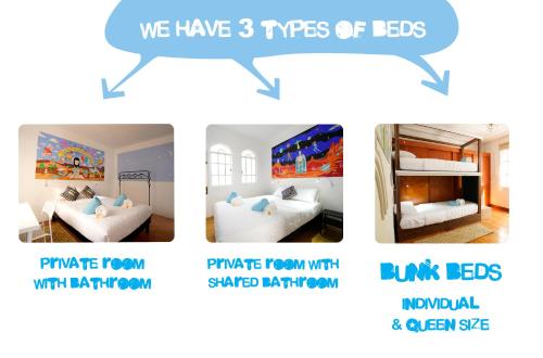 fungi hostal condesa hostel