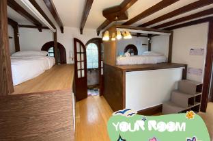 fungi hostal condesa hostel