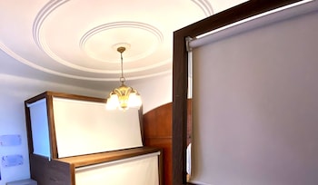 fungi hostal condesa hostel