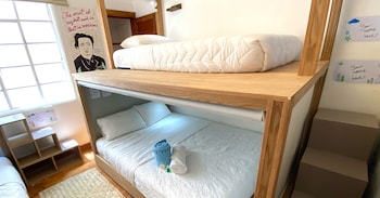 fungi hostal condesa hostel