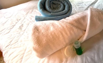 fungi hostal condesa hostel