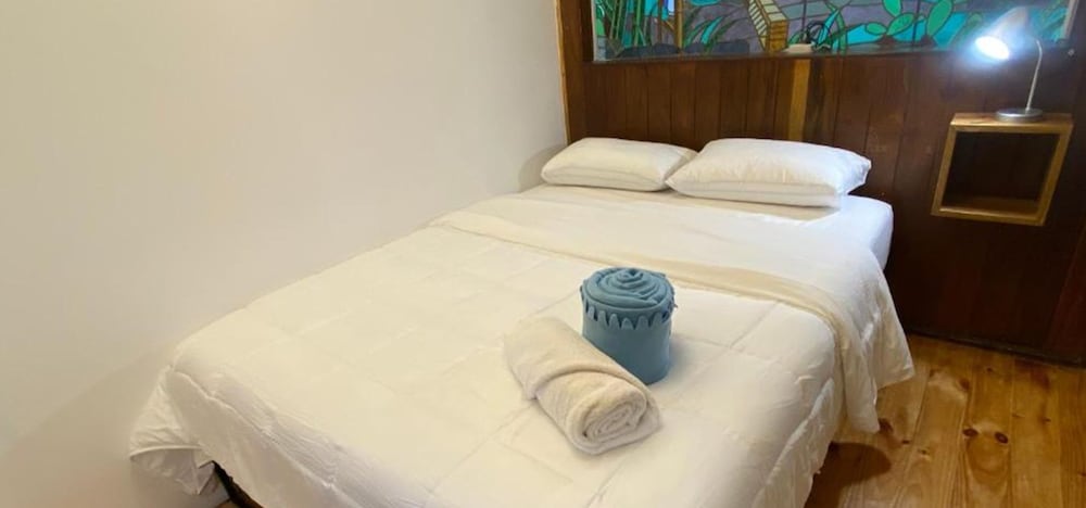 fungi hostal condesa hostel