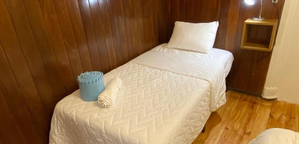 fungi hostal condesa hostel