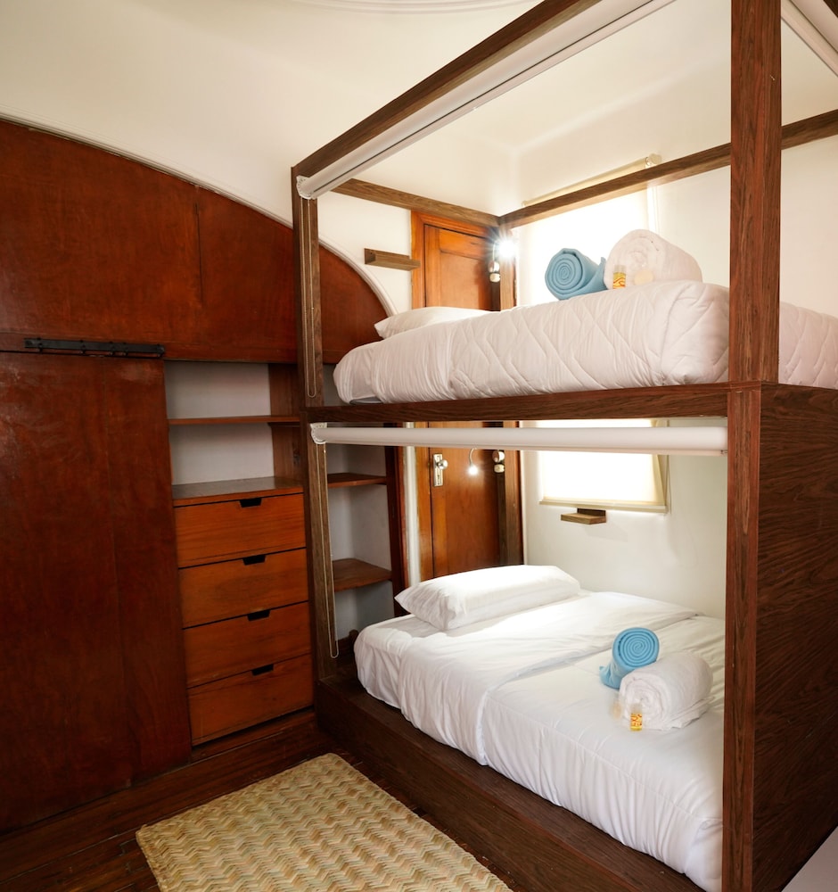 fungi hostal condesa hostel