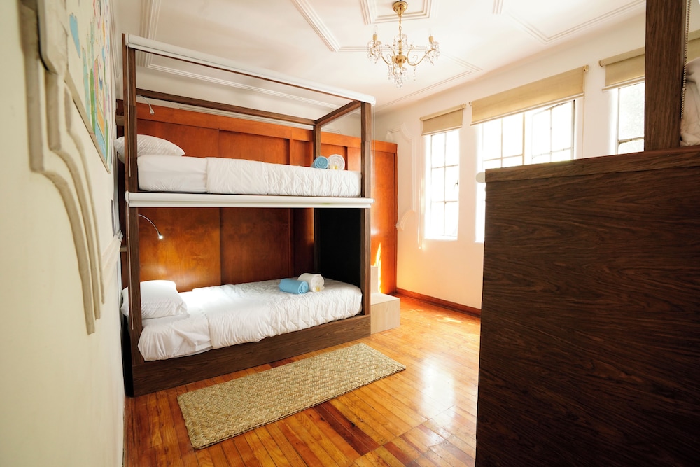 fungi hostal condesa hostel