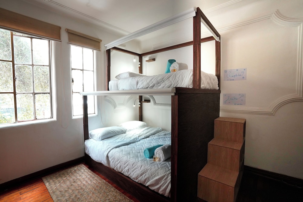 fungi hostal condesa hostel