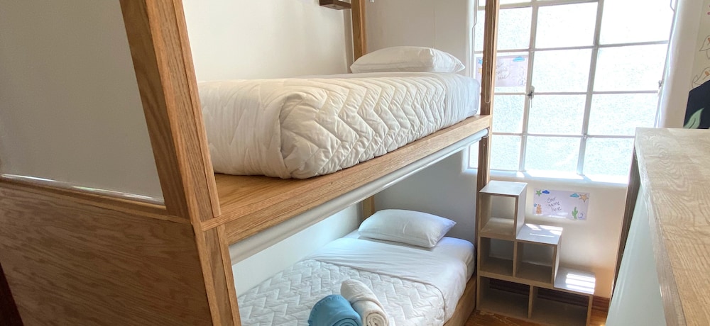 fungi hostal condesa hostel