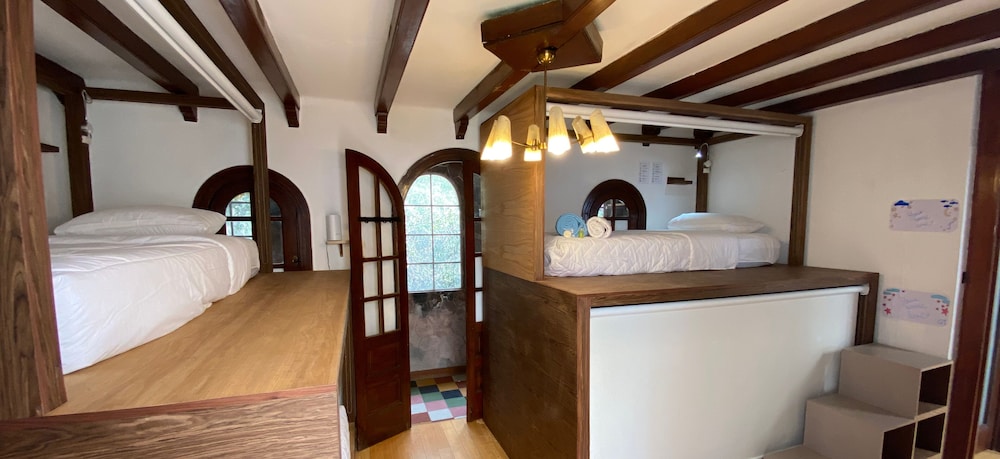 fungi hostal condesa hostel