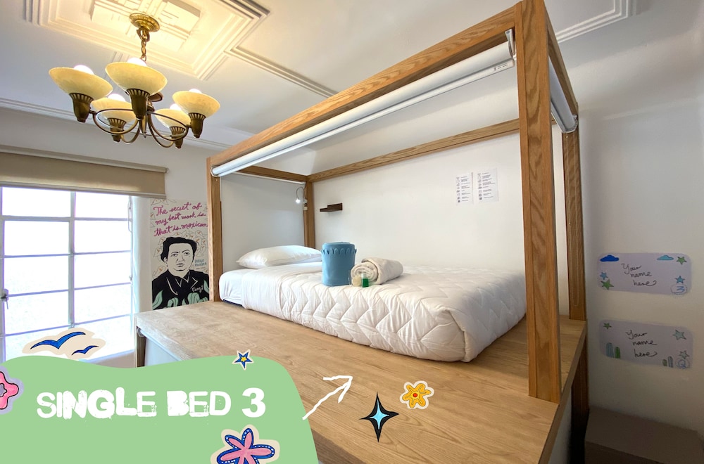 fungi hostal condesa hostel