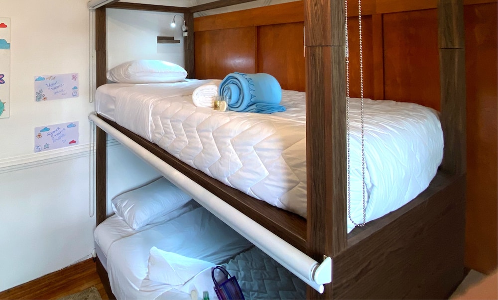 fungi hostal condesa hostel