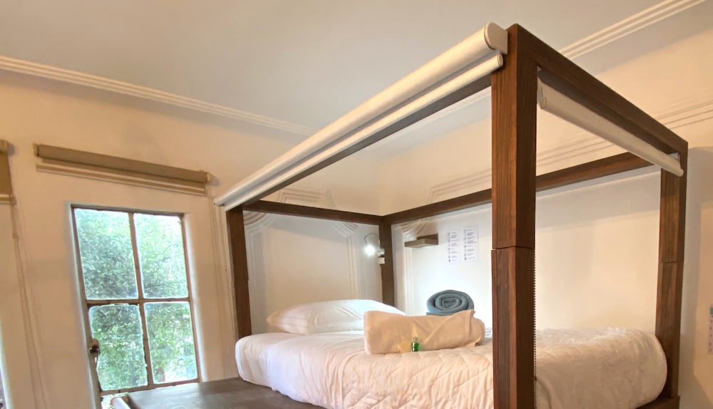 fungi hostal condesa hostel