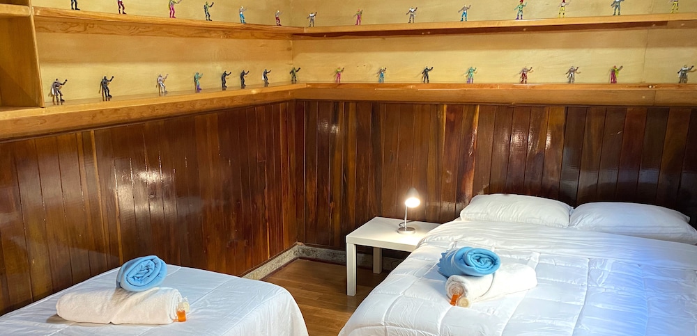 fungi hostal condesa hostel