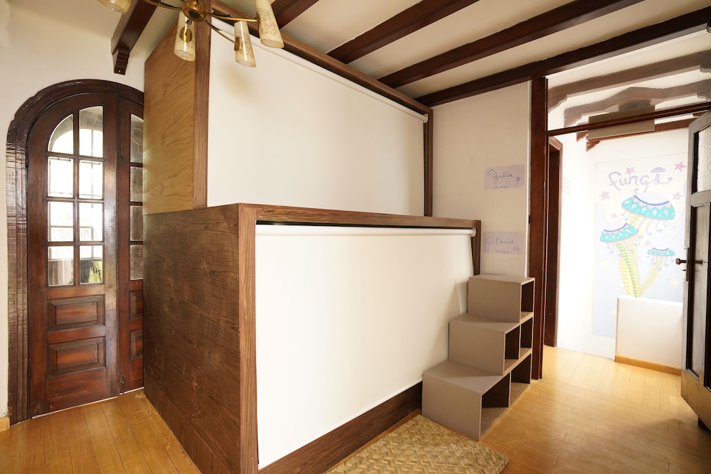 fungi hostal condesa hostel