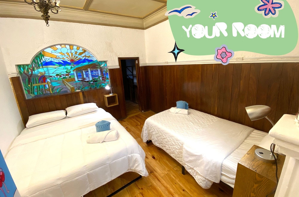 fungi hostal condesa hostel