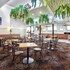 penshurst hotel